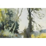 § Edward Seago, RWS, RBA (British, 1910-1974) Study of trees signed lower left "Edward Seago"