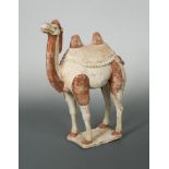 A painted pottery model of a camel, Tang Dynasty, well proportioned with twin humps, long legs and