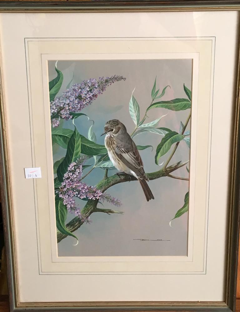 § Basil Ede (British, 1931-2016) Spotted flycatcher on a Buddleia signed lower right "Basil Ede" - Image 2 of 6