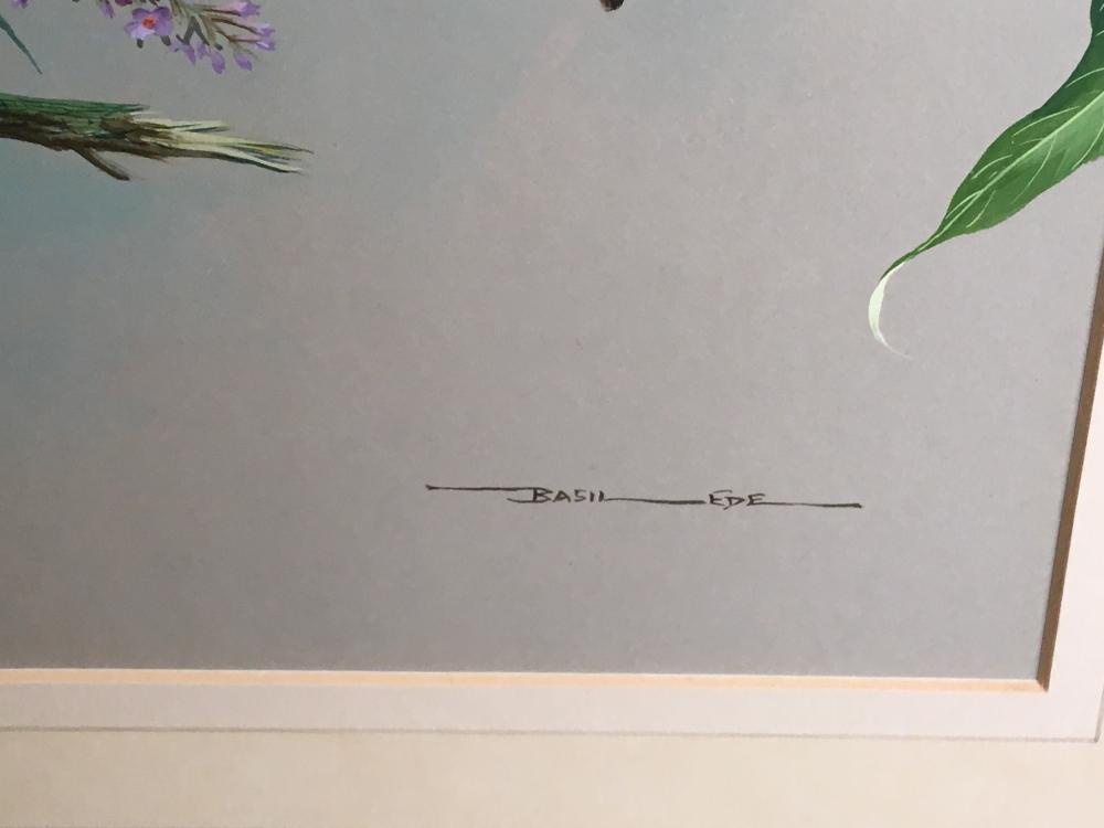 § Basil Ede (British, 1931-2016) Spotted flycatcher on a Buddleia signed lower right "Basil Ede" - Image 3 of 6