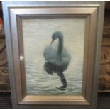 Paul Staveley, Swan II, oil. 41 x 34 cm approx