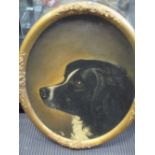 English School, 19th Century, Study of a spaniel's head, oil on canvas,