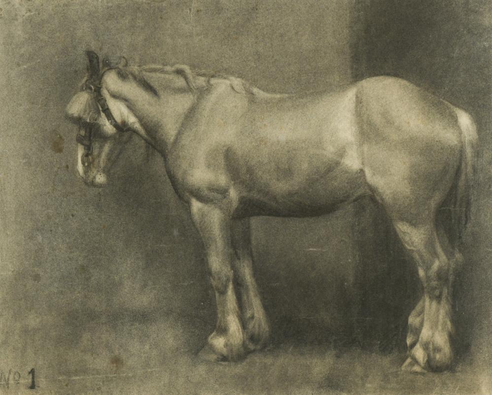 § Hilda Elizabeth Kidman, ASWA (British, 1891-1980) Study of a Shire Horse inscribed 'No1' (lower