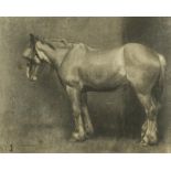 § Hilda Elizabeth Kidman, ASWA (British, 1891-1980) Study of a Shire Horse inscribed 'No1' (lower