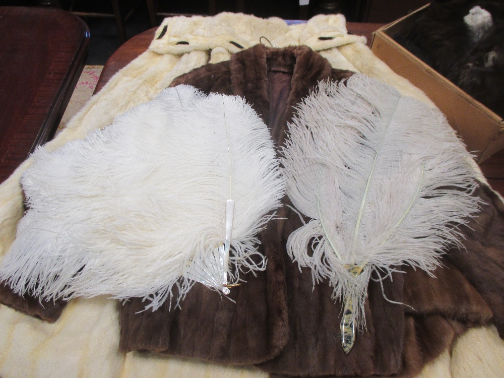 A 1920's ladies white fur cape, two fur jackets, two ostrich fans and various fur stoles etc - Image 4 of 4