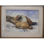 A Holding, watercolour of game birds in the snow, 36cm x 53 cm, signed