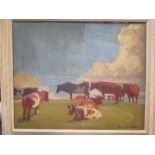 Anne L Falkner (British, 1862-1933) Cattle in a field signed lower right "Anne L Falkner" oil on