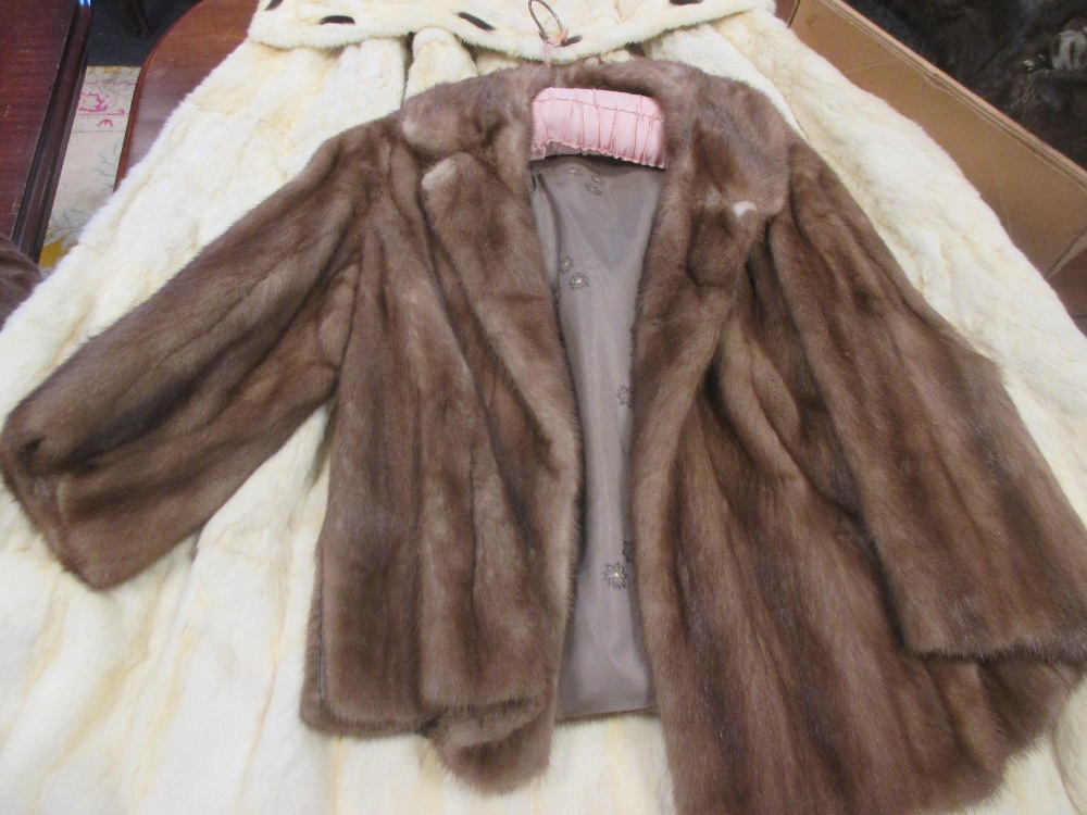 A 1920's ladies white fur cape, two fur jackets, two ostrich fans and various fur stoles etc - Image 3 of 4