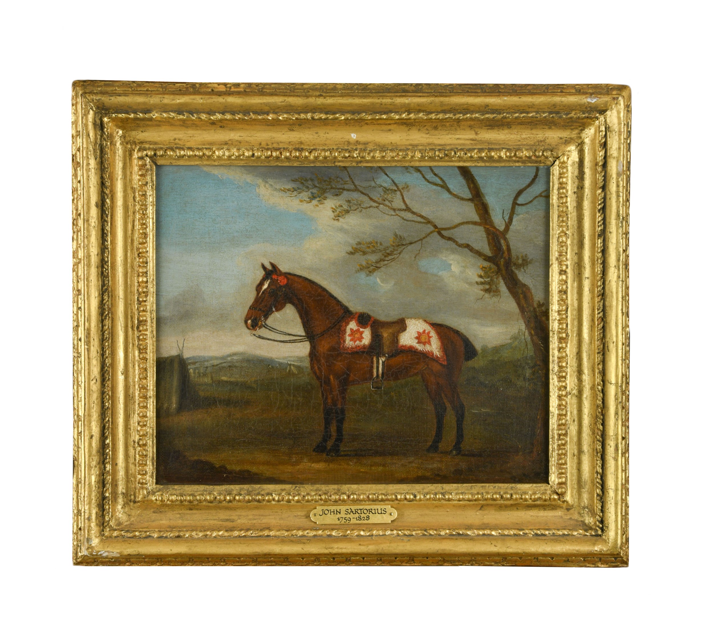 John Nost Sartorius (British 1755-1828) A bay military horse or charger, caparisoned with a