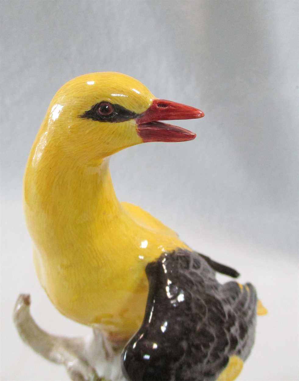 A Meissen model of a Golden Oriole, circa 1900, - Image 2 of 4