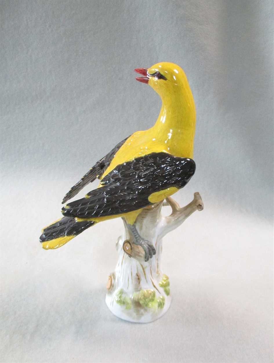 A Meissen model of a Golden Oriole, circa 1900, - Image 3 of 4