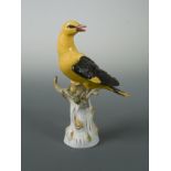 A Meissen model of a Golden Oriole, circa 1900,