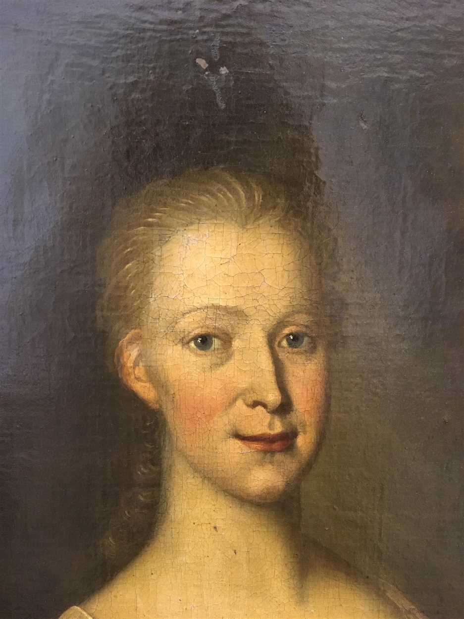 Irish School, 18th Century Portrait of Miss Skerrett, later Mrs Athy of Galway, holding a rose with - Image 2 of 13