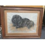 Marjorie Cox Study of Black Pekinese, dated 1980, 37.5 x 55 cm; and another, dated 1968, 49 x 47 cm