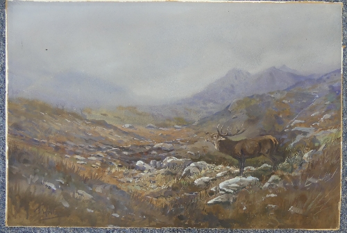 Harold Frank Wallace (British, 1881-1962), A Stag bellowing in a mountainous landscape, watercolour,