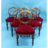 A set of six Victorian mahogany balloon-back Dining Chairs, each with a scroll carved and moulded
