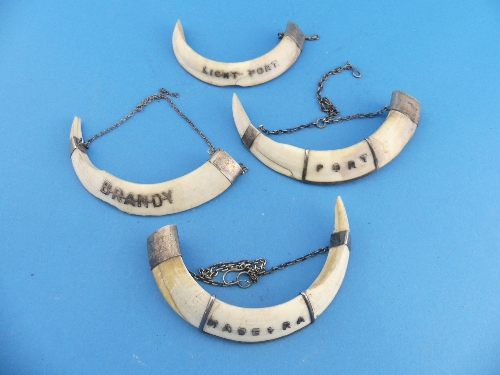 Four early 20thC Anglo-Indian Boar Tusk WIne Labels, with unmarked white metal mounts and lettering,