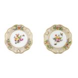 A PAIR OF DRESDEN PORCELAIN CABINET PLATES