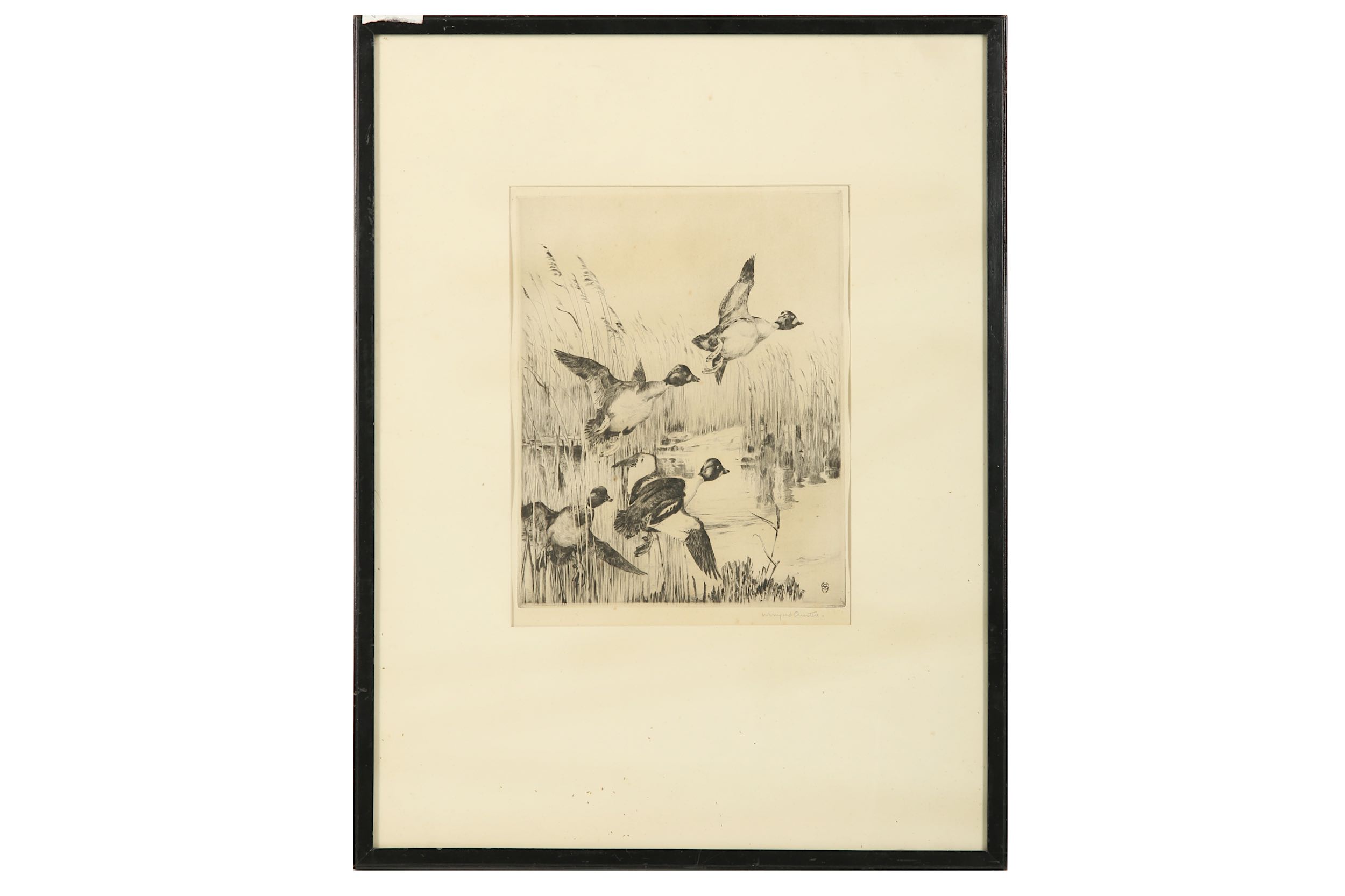 Austen (Winifred, 1876-1964) ‘Brent Geese’, signed lower right, titled lower left, platemark 235 x - Image 2 of 2