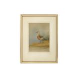 Rickman (Philip) Brown Duck on a Bank, signed, dated & inscribed ‘C. M. from Philip Rickman’ lower