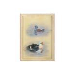Rickman (Philip) Harlequin & Eider Ducks, signed, dated & inscribed ‘To Christopher a memento of