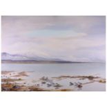 Rickman (Philip) Smews in a Bay, laid on board, 570 x 780 mm, 1954; Wigeon & Shelducks on a Lake,