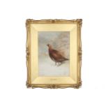 Rankin (George, 1864-1937) Red Grouse, original watercolour & gouache, signed lower left, framed &