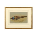 Rickman (Philip) Pheasant Resting, on grey paper, 200 x 310 mm, 1924; Cock Ring-necked Pheasant,