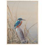 Rickman (Philip) Kingfisher, signed & dated lower right, mounted, unframed, 380 x 270 mm, 1956;