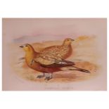 Ching (Raymond) Kestrel, ARTIST’S PROOF, number 29 of 40 copies, lithograph, signed in pencil