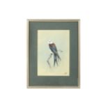 Lodge (George E.) Sea Eagle, original watercolour & gouache, signed lower right, framed & glazed,