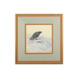 Lodge (George E.) Crow, original watercolour & gouache, signed lower left, framed & glazed, image