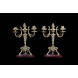 A PAIR OF THIRD QUARTER 19TH CENTURY FRENCH GILT BRONZE AND ROUGE MARBLE CANDELABRA IN THE MANNER OF