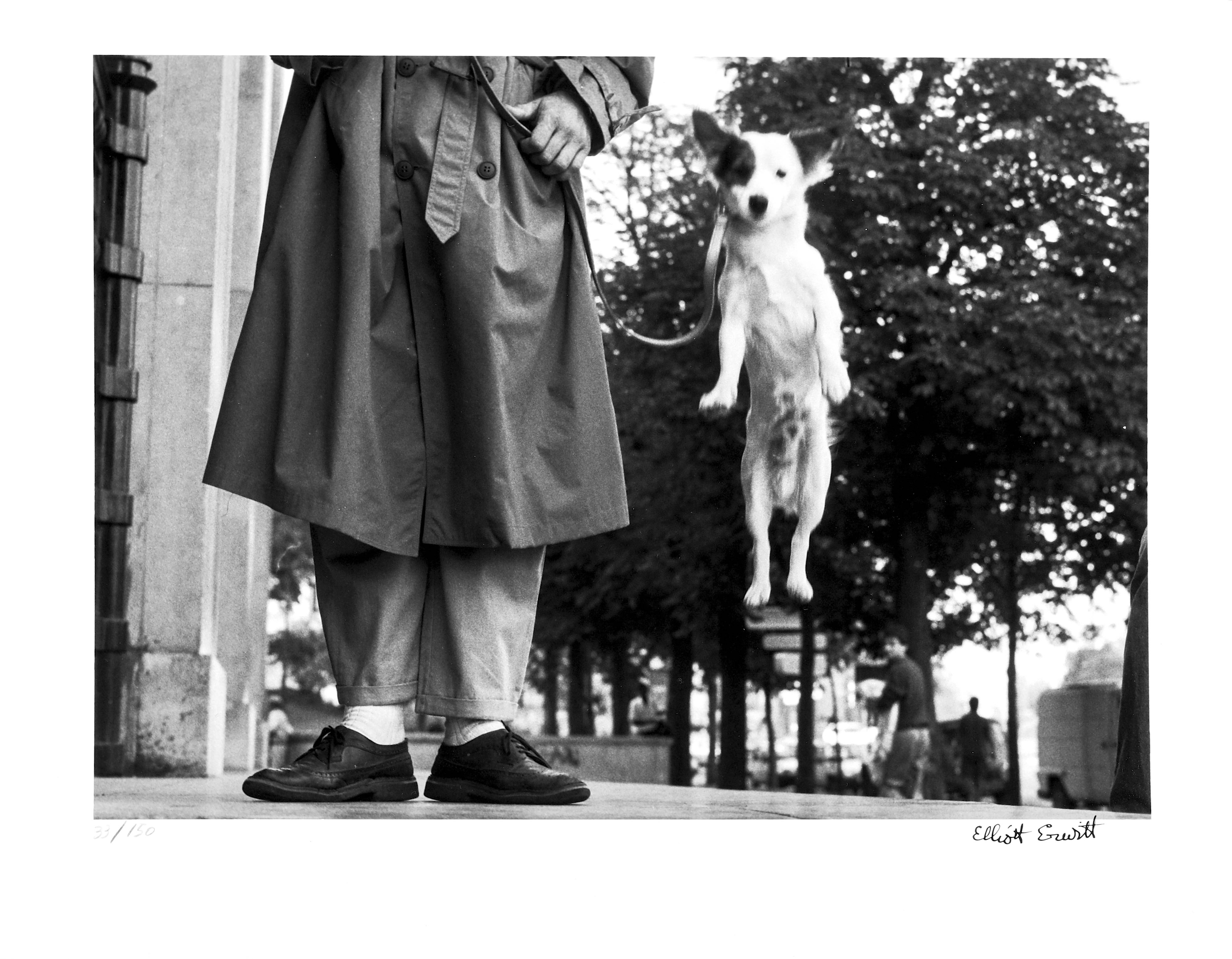 Elliott Erwitt (b. 1928) - Image 2 of 4