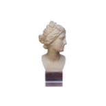 A marble effect bust of a woman's head