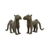 A pair of African cast bronze lionesses in Benin style