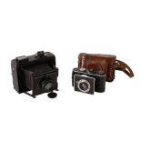 A Pair of Strut Folding Cameras