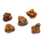 Alba White Truffles