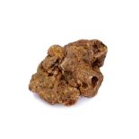 Alba White Truffle