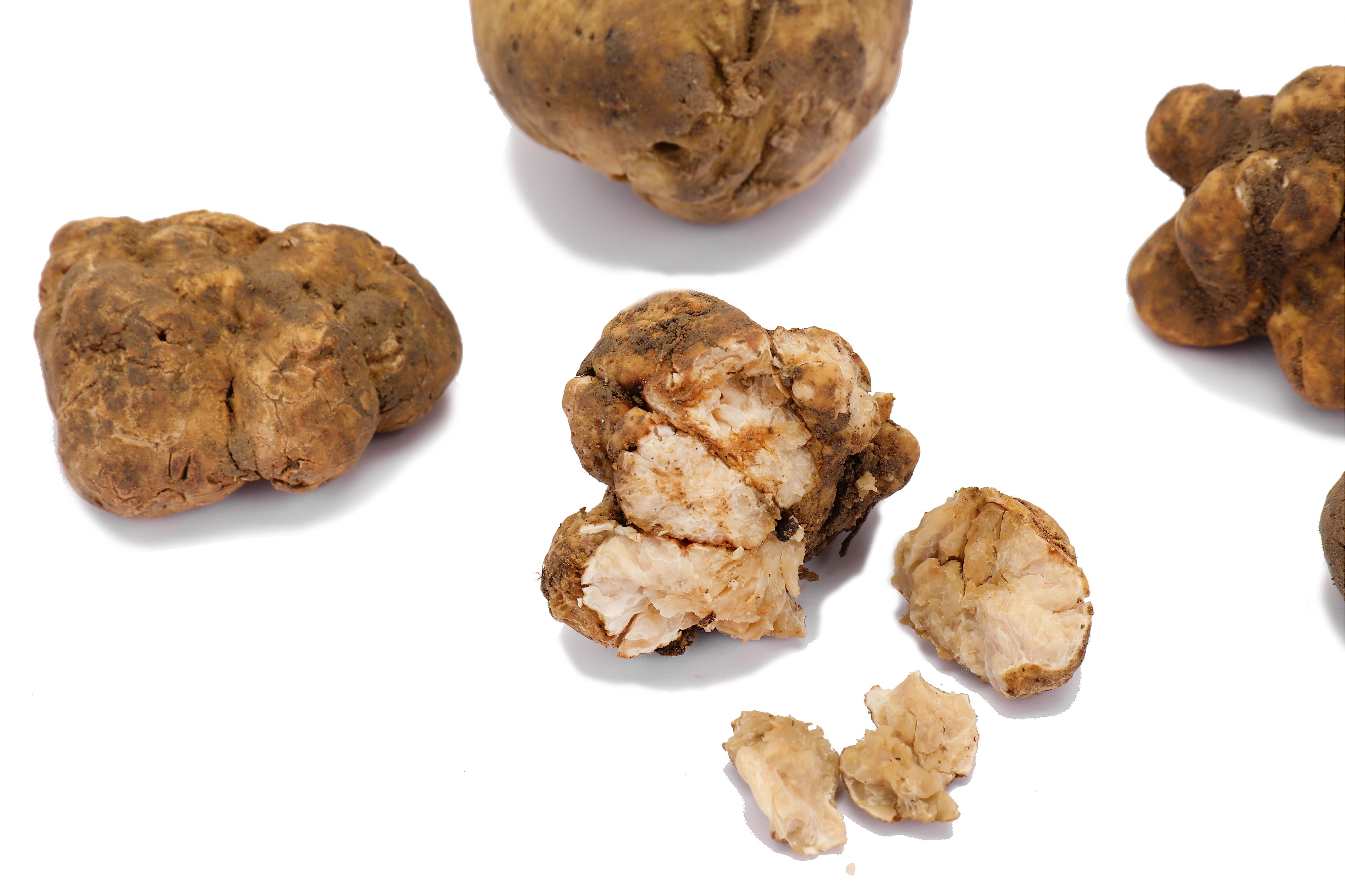 Alba White Truffles - Image 2 of 3