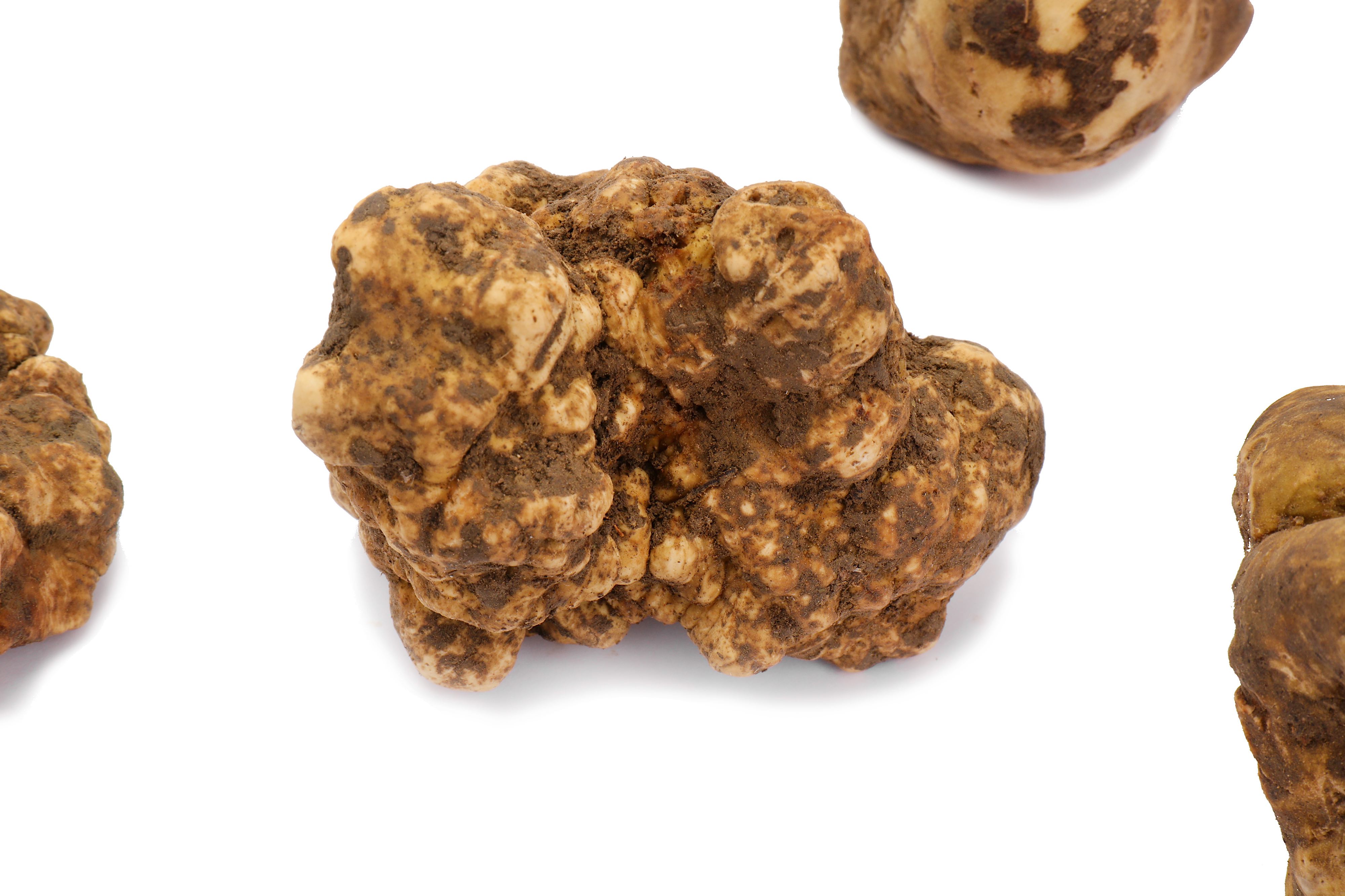 Alba White Truffles - Image 3 of 3