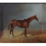 Bertram Rowland (19th/20th Century)/Kilkenny/portrait of a chestnut hunter in a stable/signed and