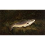 Thomas G Targett (British 19th Century)/Trout on a Riverbank/oil on canvas,