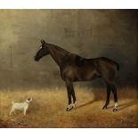 Bertram Rowland (19th/20th Century)/Rex/portrait of a bay hunter and a terrier in a stable/signed