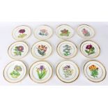 Twelve Paris porcelain botanical plates, mid 19th Century, 24.