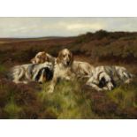 Arthur Wardle (British 1860-1949)/Waiting for the Guns/study of four English setters/oil on canvas,