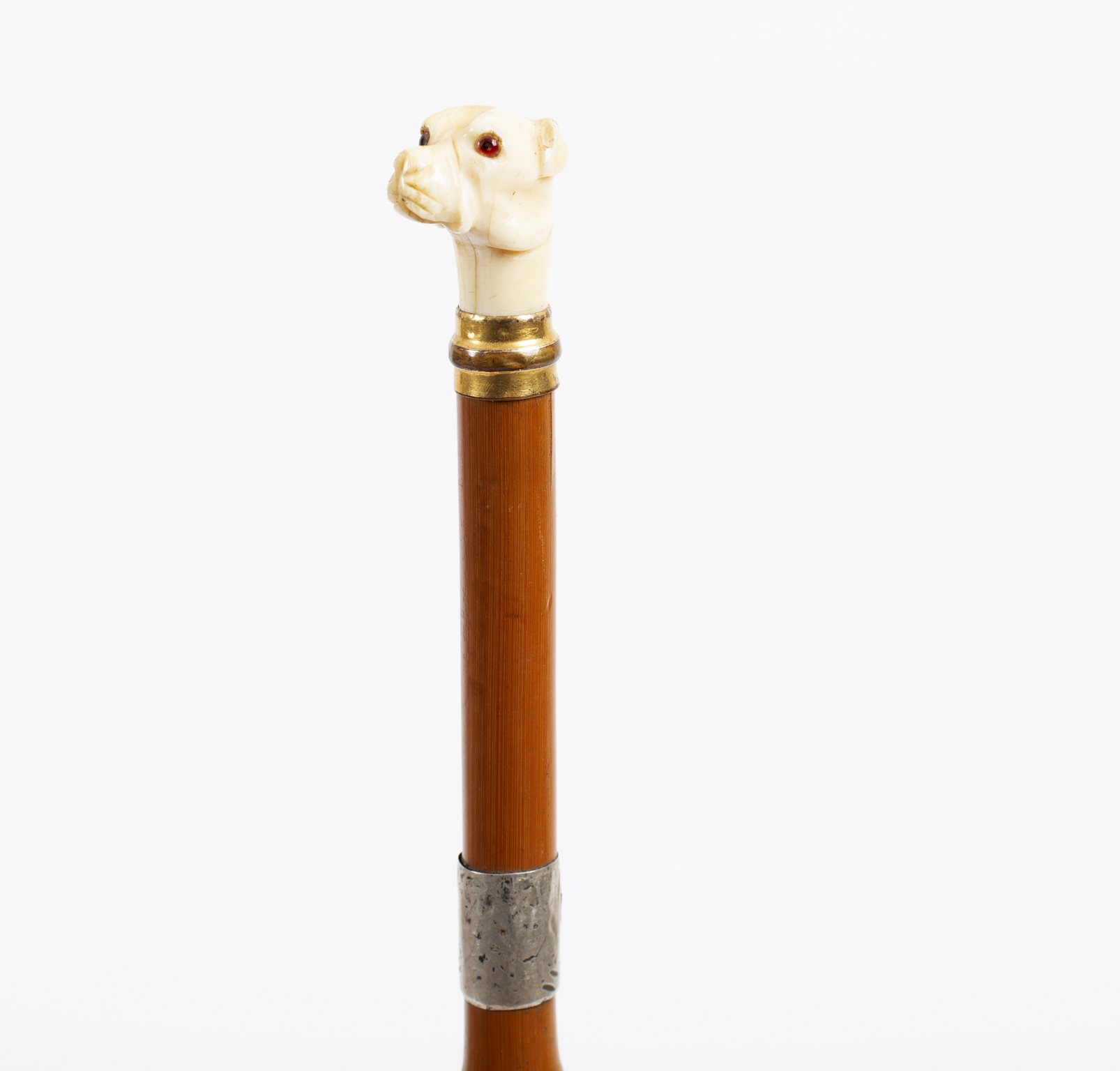 A bamboo walking cane with silver collar and carved ivory handle in the form of a Great Dane's head - Bild 2 aus 2