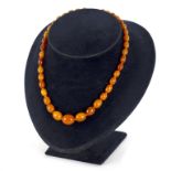 An amber bead necklace of thirty-nine graduated oval beads of butterscotch colour, approximately 15.