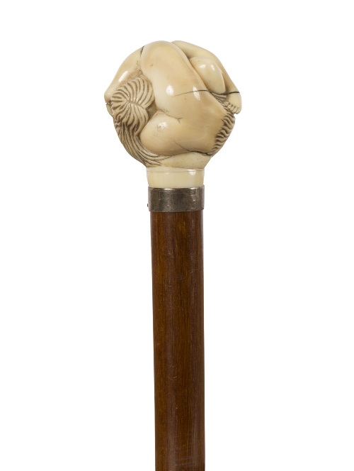 A walking stick with silver collar and carved erotic carved ivory finial/see illustration