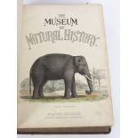 Richardson, Sir John and others. The Museum of Natural History, 2 volumes, 4to; cont.